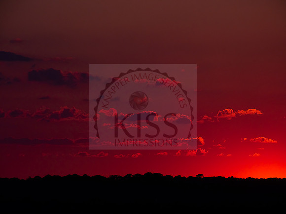 North Carolina sunset - IMG_4663