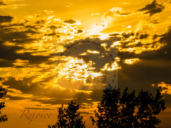 Rejoice Inspiration - IMG_3618