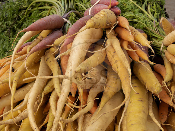 Carrots - IMG_8617