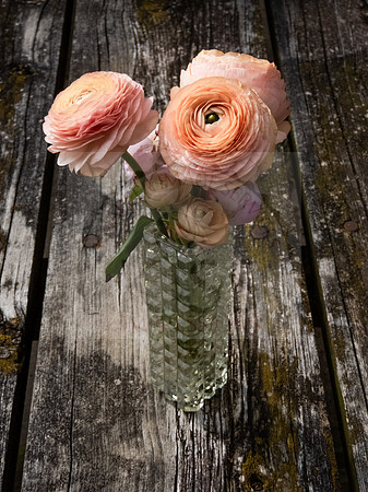 Blooming ranunculus bouquet - IMG_8088