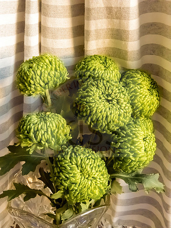 Green chrysanthemum bouquet - IMG_8825
