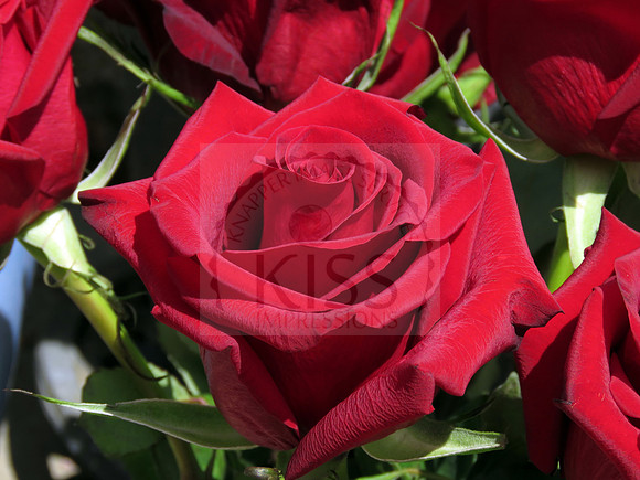 Love flower
