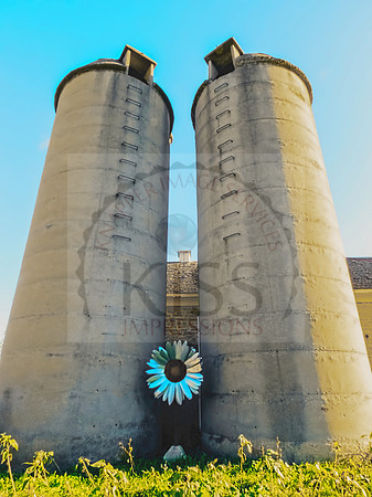 Trimborn Farms Silos - TFIMG_8333