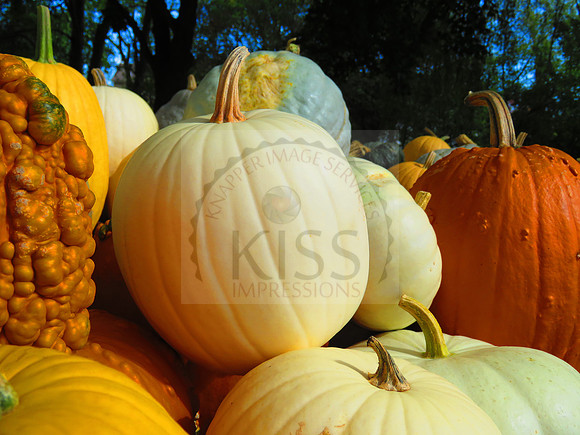 Ornamental produce.