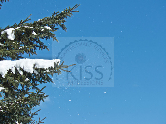 Mother nature snow.