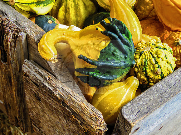 Fall decoration.