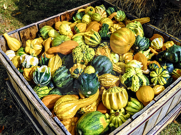 Autumn decorations.