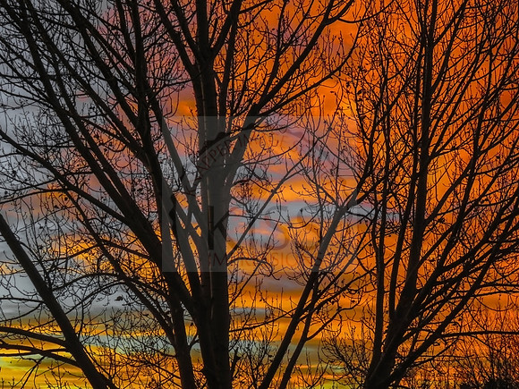 Sherbet sky.