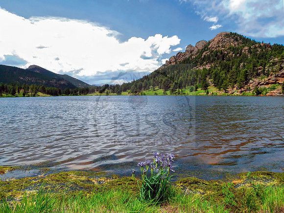 Lily Lake, CO