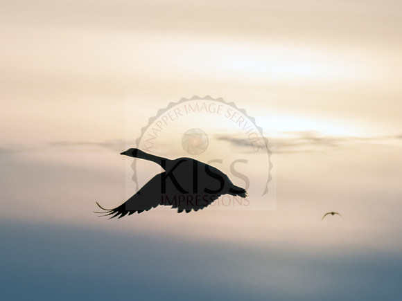 Rising altitude at dusk.