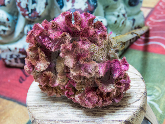 Rustic dried flower