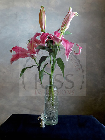 Oriental Lily Still - IMG_5872