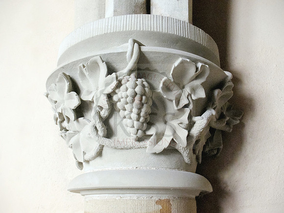 Grapevines on pillar.