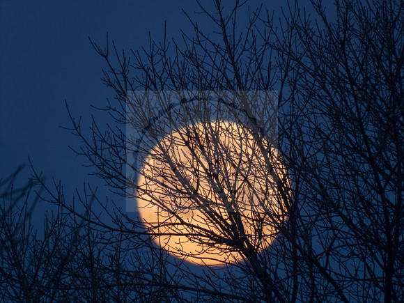 Super moon - IMG_2964