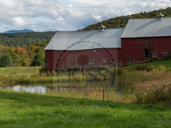 On the Farm