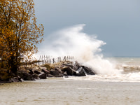 Coastal