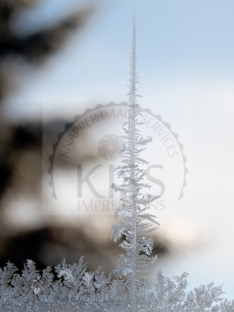 Frozen window art.