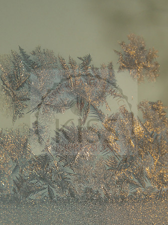 Window frost - IMG_8157