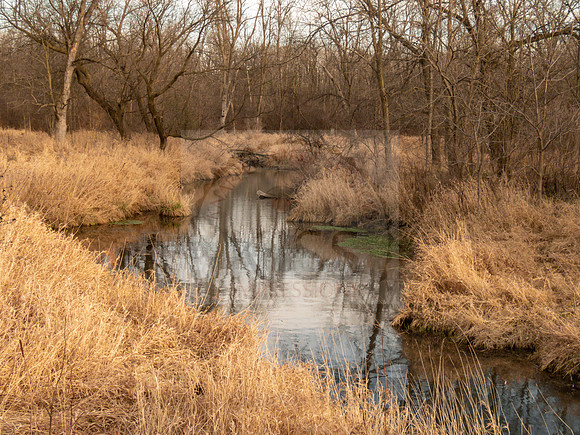 Autumn field river - IMG_3191