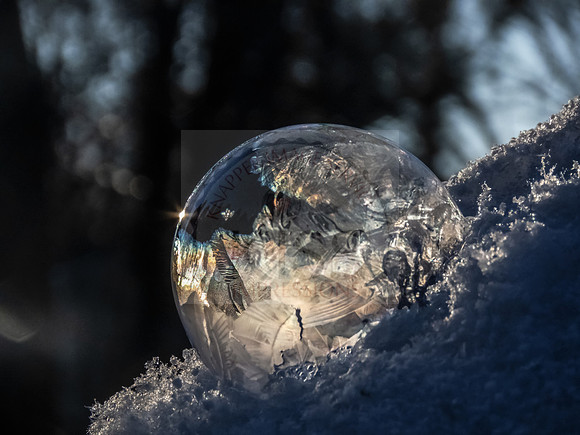 Jack Frost