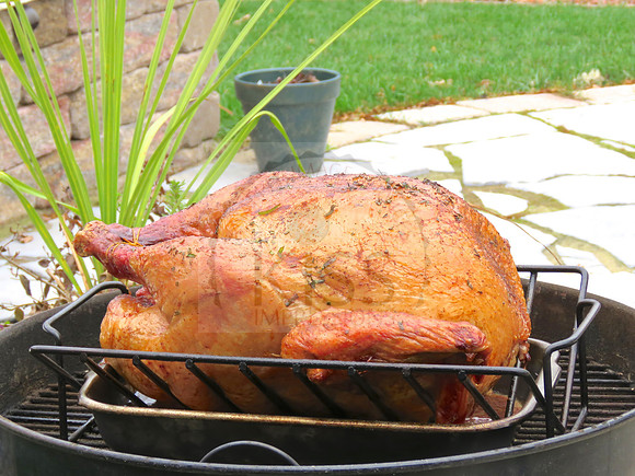 Thanksgiving grilled turkey - IMG_9700