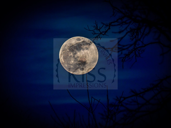 Full worm moon - IMG_1306