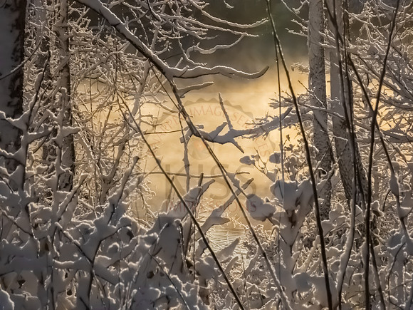 Snowy golden lakeside - IMG_1114