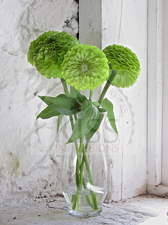 Rustic flower display