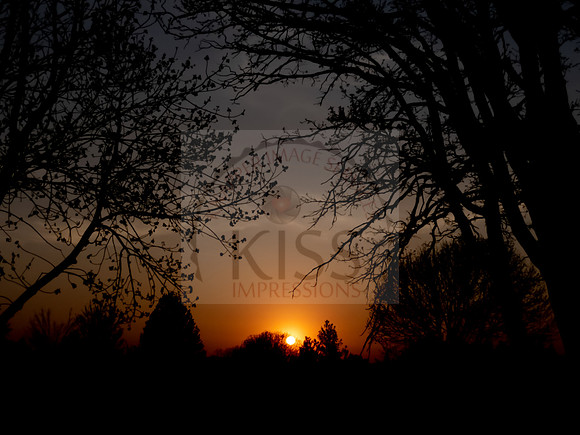Sunset - IMG_4822