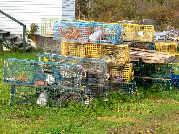 Seafood equipment