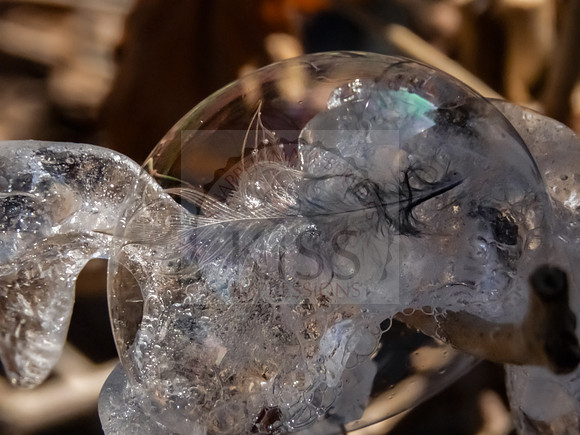 Winter Bubble - IMG_9294